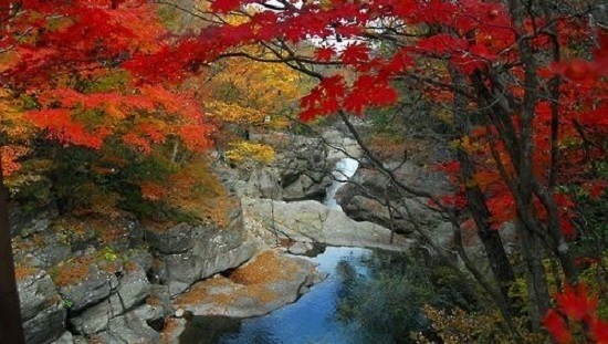 (Yonhap)