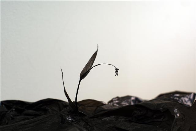 송수영, Plastic Landscape -Flower, A plastic bag, 40×50×15cm, 2017  [제공=신한갤러리]