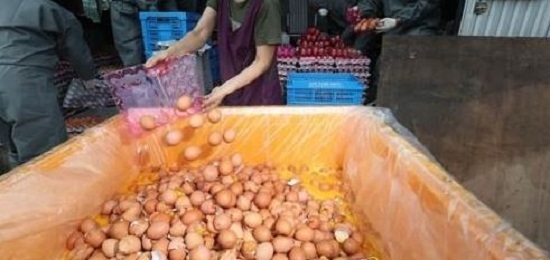Quarantine officials discard pesticide-contaminated eggs at a hen farm in Yangju, north of Seoul, on Aug. 16, 2017. (Yonhap)
