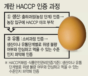 살충제 계란 쇼크가 전국으로 확산된 지난 17일 강원 철원군 한 산란계 농장에서 군청 직원들이 계란을 폐기하고 있다. 식품의약품안전처는 이 농장의 계란에서 피프로닐이 기준치보다 높게 검출됐다고 전날 밝힌 바 있다.  [연합뉴스]