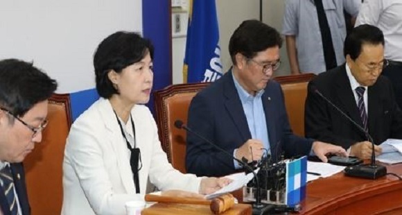 Choo Mi-ae, the leader of the ruling Democratic Party, speaks during a meeting with senior party officials at the National Assembly in Seoul on Aug. 21, 2017. (Yonhap)