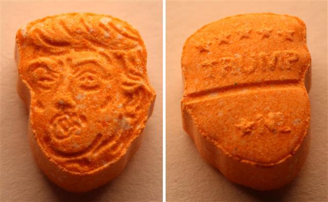 <YONHAP PHOTO-0040> epa06156353 A handout combo photo made available by German Osnabrueck Police shows an orange coloured ecstasy pill in shape of the head of US President Donald Trump with the inscription 'TRUMP' on the back side (R) in Osnabrueck, Germany, 21 August 2017. During a traffic control of a car with an Austrian license number police discovered the drugs, around 5,000 pills, with a sales value of 39,000 Euro. EPA/ANDREAS LEMPER / OSNABRUECK POLICE/ HANDOUT HANDOUT EDITORIAL USE ONLY/NO SALES/2017-08-23 00:16:43/ <저작권자 ⓒ 1980-2017 ㈜연합뉴스. 무단 전재 재배포 금지.>
