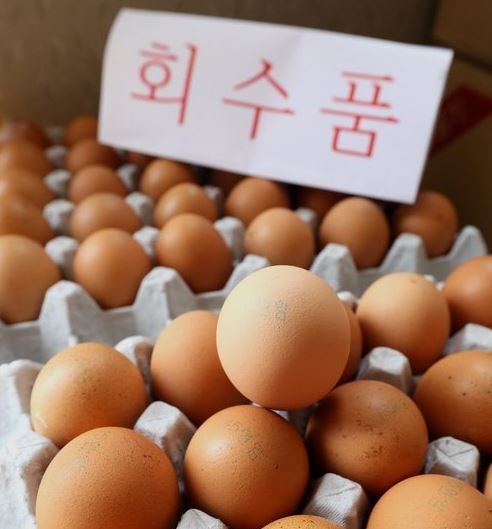 Seized contaminated eggs are quarantined at a hen farm on the southern island of Jeju on Aug. 19, 2017. Excessive levels of the harmful pesticide bifenthrin were detected in the eggs. The pesticide is used to kill mites. (Yonhap)