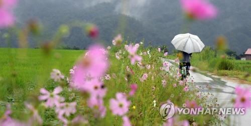 (사진=연합뉴스)