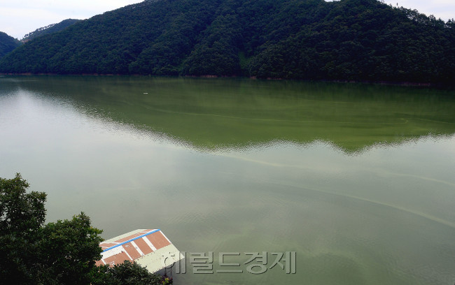 [사진=이상섭 기자/babtong@heraldcorp.com]