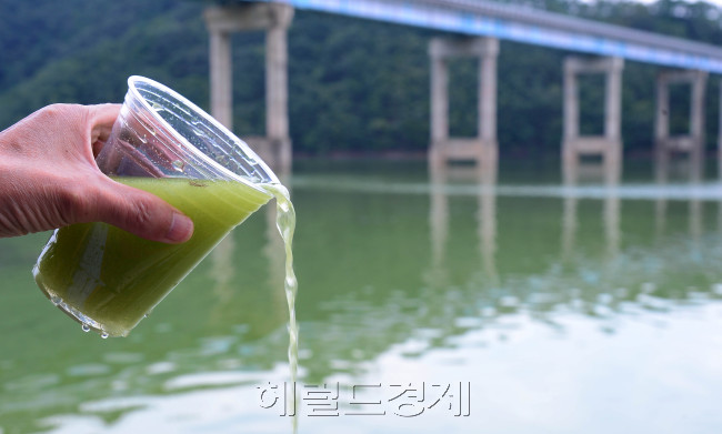 [사진=이상섭 기자/babtong@heraldcorp.com]
