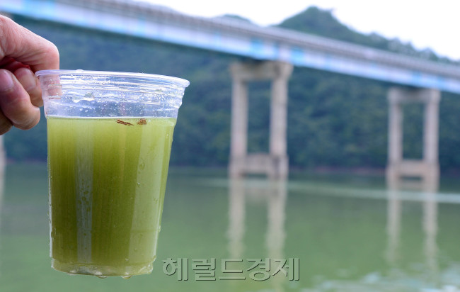 [사진=이상섭 기자/babtong@heraldcorp.com]