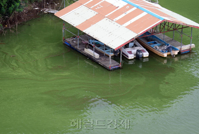 [사진=이상섭 기자/babtong@heraldcorp.com]