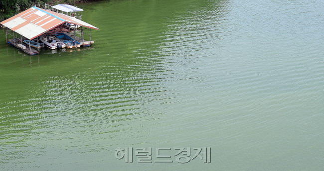 [사진=이상섭 기자/babtong@heraldcorp.com]