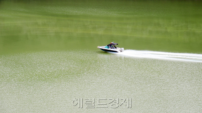 [사진=이상섭 기자/babtong@heraldcorp.com]