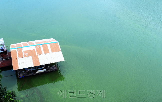[사진=이상섭 기자/babtong@heraldcorp.com]