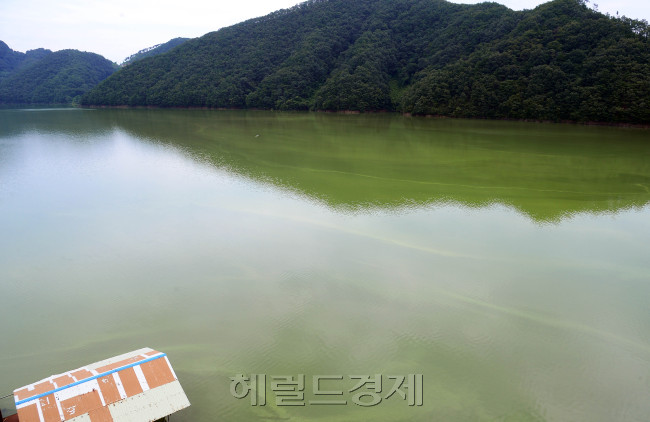 [사진=이상섭 기자/babtong@heraldcorp.com]