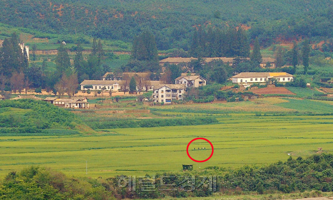 [사진=이상섭 기자/babtong@heraldcorp.com]