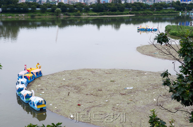 [사진=이상섭 기자/babtong@heraldcorp.com]