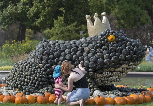 <YONHAP PHOTO-0316> Visitors look at a Frog King sculpture during the preparations of the autumn exhibition 'Pumpkin Royal' at the horticultural exhibition 'ega' (Erfurt Garden Construction Exhibition) in Erfurt, central Germany, Wednesday, Aug. 30, 2017. Gardeners create different sculptures with thousands of pumpkins. The exhibition starts on Sept. 3, 2017 and lasts until Oct. 31, 2017. (AP Photo/Jens Meyer)/2017-08-31 00:55:18/ <저작권자 ⓒ 1980-2017 ㈜연합뉴스. 무단 전재 재배포 금지.>