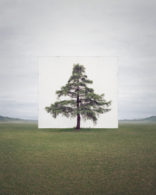 Tree… #6, 93×78cm, Ink on Paper, 2014.
[제공=사비나미술관]