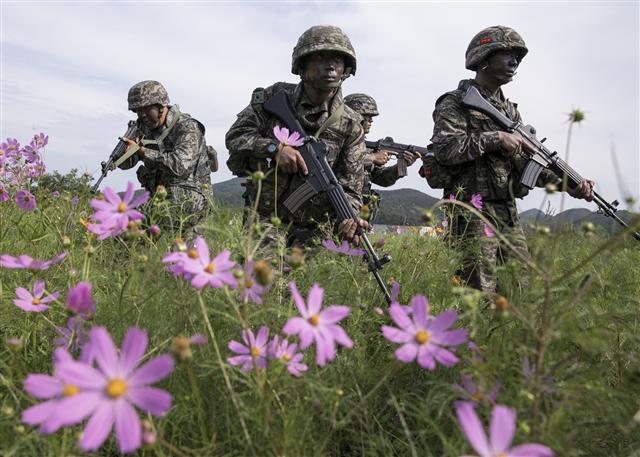 북핵으로 한반도에서 위기가 고조되고 있는 가운데 우리 군은 한치의 빈틈도 없이 국토수호에 여념이 없다. 지난 6일 서해 최북단 백령도에서 실시한 도서방어훈련에 참가한 해병대 6여단 장병들이 수색정찰을 하고 있다.  [연합뉴스]