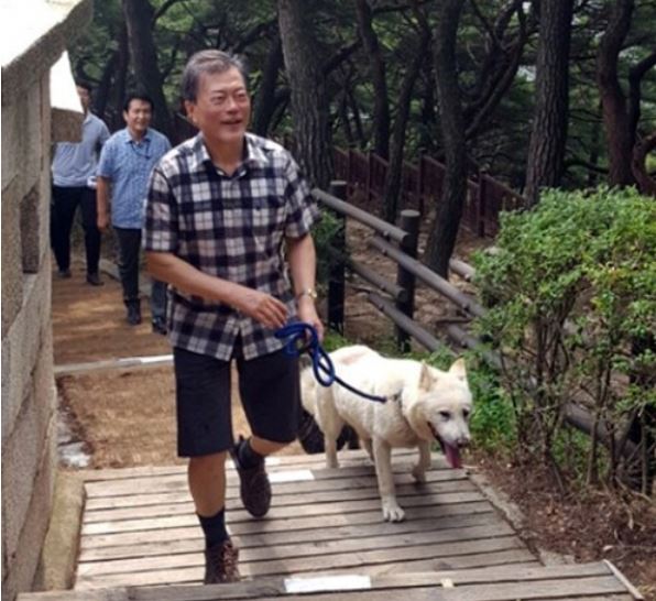 This photo, taken by a citizen and posted on an online community site, shows President Moon Jae-in taking a hike on Mount Bugak with his dog on Sept. 10, 2017. (Yonhap)