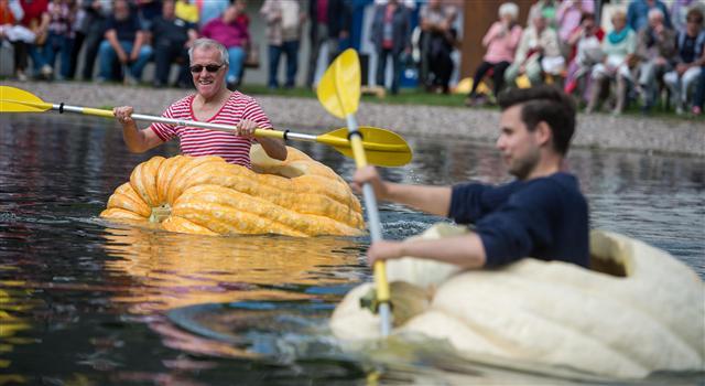 <YONHAP PHOTO-0162> Participants paddle in hollowed out giant pumpkins during the traditional pumpkin paddling in Fambach near Schmalkalden, central Germany, on September 10, 2017. / AFP PHOTO / dpa / Jens-Ulrich Koch / Germany OUT/2017-09-11 00:30:07/ <저작권자 ⓒ 1980-2017 ㈜연합뉴스. 무단 전재 재배포 금지.>