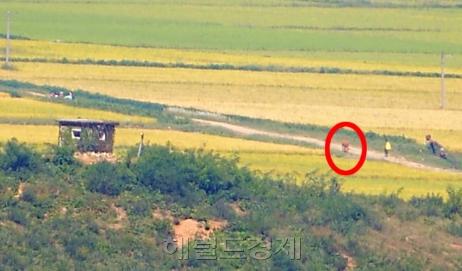 [사진=이상섭 기자/babtong@heraldcorp.com]