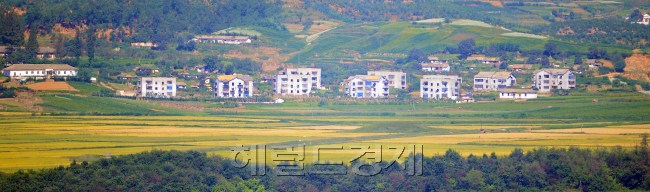 [사진=이상섭 기자/babtong@heraldcorp.com]