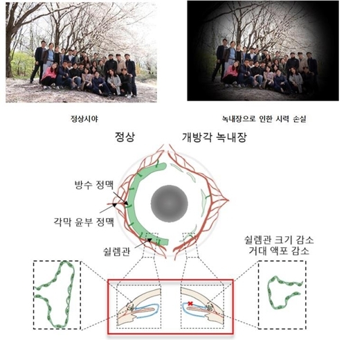 (사진=연합뉴스)