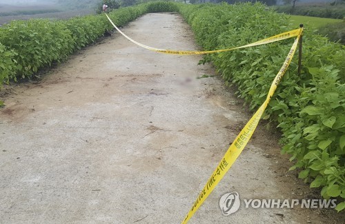 (사진=연합뉴스)