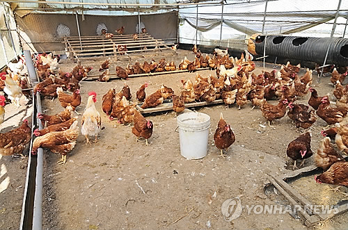 (Yonhap)