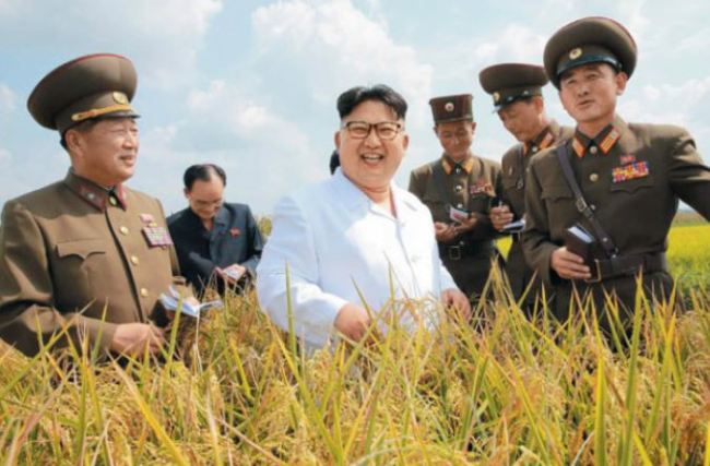 A photo of Kim inspecting a farm earlier this September (Yonhap)