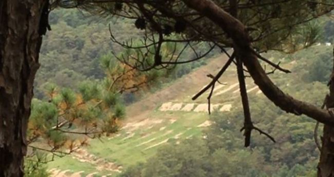 An Army firing range in Cheorwon, Gangwon Province. (Yonhap)