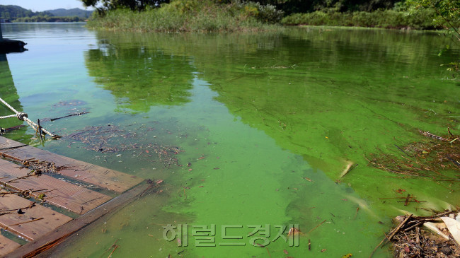 (3면) [국정감사 스타트](고용/환경) 野 청년실업ㆍ공무원증원 집중 추궁…4대강 수질악화 MB정부 책임론 공방