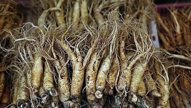 Korean ginseng (Yonhap)