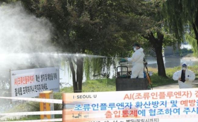 Quarantine authorities disinfect an outdoor park along the Han River against avian influenza on Oct. 15, 2017. (Yonhap)