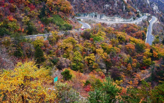 [사진=이상섭 기자/babtong@heraldcorp.com]