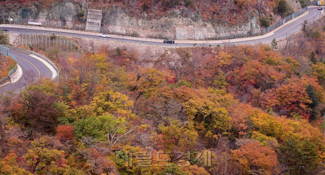 [사진=이상섭 기자/babtong@heraldcorp.com]