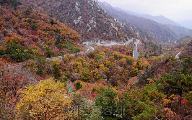 [사진=이상섭 기자/babtong@heraldcorp.com]