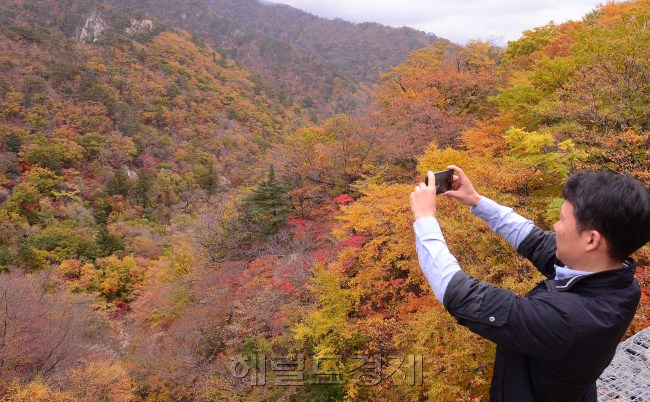 [사진=이상섭 기자/babtong@heraldcorp.com]