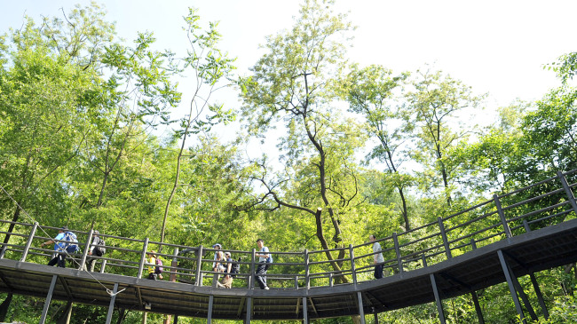 Visitors walk along Ansan Jarak-gil in Seodaemun-gu, Seoul. (Seodaemun-go Office)