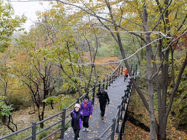Visitors walk along Ansan Jarak-gil in Seodaemun-gu, Seoul.  (Seodaemun-go Office)