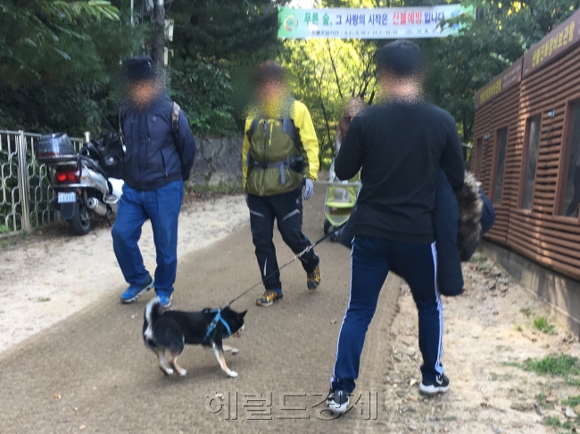 반려견과 등산하는 등산객과 강아지를 피해 걸어가는 등산객들의 모습. [사진=김유진 기자/kacew@heraldcorp.com]