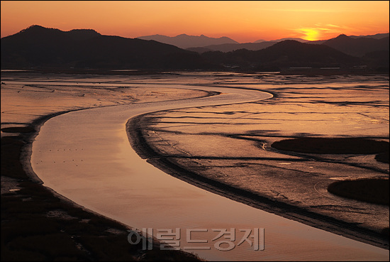 순천만 갯벌 [사진=헤럴드경제DB]