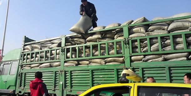 Chinese workers loading sacks of rice onto a truck to transport them to North Korea. (Yonhap)