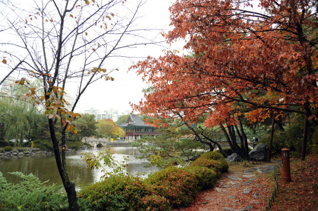 [사진=성남 중앙공원 가을풍경]
[사진=성남 중앙공원 가을풍경]