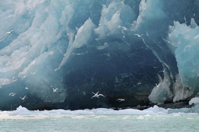 A photograph from the Arctic Impressions Photo Exhibit (Biosphere Environmental Education)
