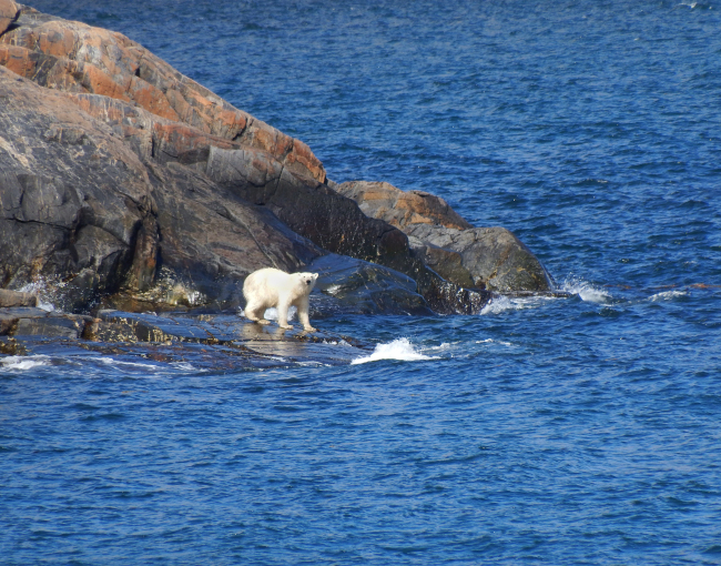 A photograph from the Arctic Impressions Photo Exhibit (Biosphere Environmental Education)