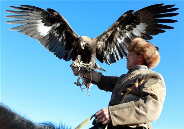 <YONHAP PHOTO-0403> epa06327067 Kyrgyz bird hunter Aytbek Sulaymanbekov carries a golden eagle in the village of Turasuu, Issyk-Kul area (270 km from Bishkek), Kyrgyzstan, 11 November 2017 (issued 13 November). Aytbek learnt bird hunting from the age of ten. He owns a golden eagle and a young falcon. Aytbek is a berkutchy (eagle hunter) in the fourth generation. Eagle and falcon hunting is an old Kyrgyz tradition. With their birds, Kyrgyz berkutchy hunt in the mountains and participate in the hunting festival 'Salburun'. EPA/IGOR KOVALENKO/2017-11-14 01:53:14/ <저작권자 ⓒ 1980-2017 ㈜연합뉴스. 무단 전재 재배포 금지.>