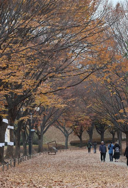 갑자기 추워진 날씨에 옷차림은 두터워졌지만 낙엽길 정취는 낭만적이다. 사진은 지난 13일 오후 서울 송파구 올림픽공원에 조성된 ‘낙엽의 거리’에서 시민들이 산책하고 있다. [연합뉴스]