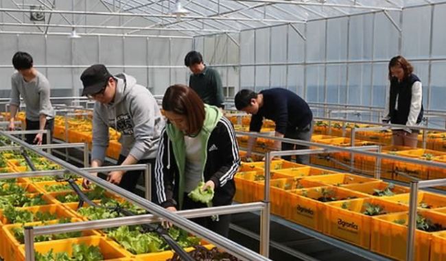 (Yonhap)