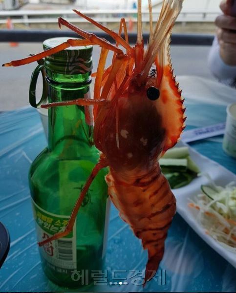 [사진=헤럴드경제DB]