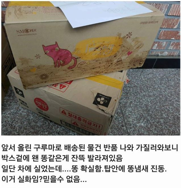 [사진=온라인 커뮤니티 캡처]